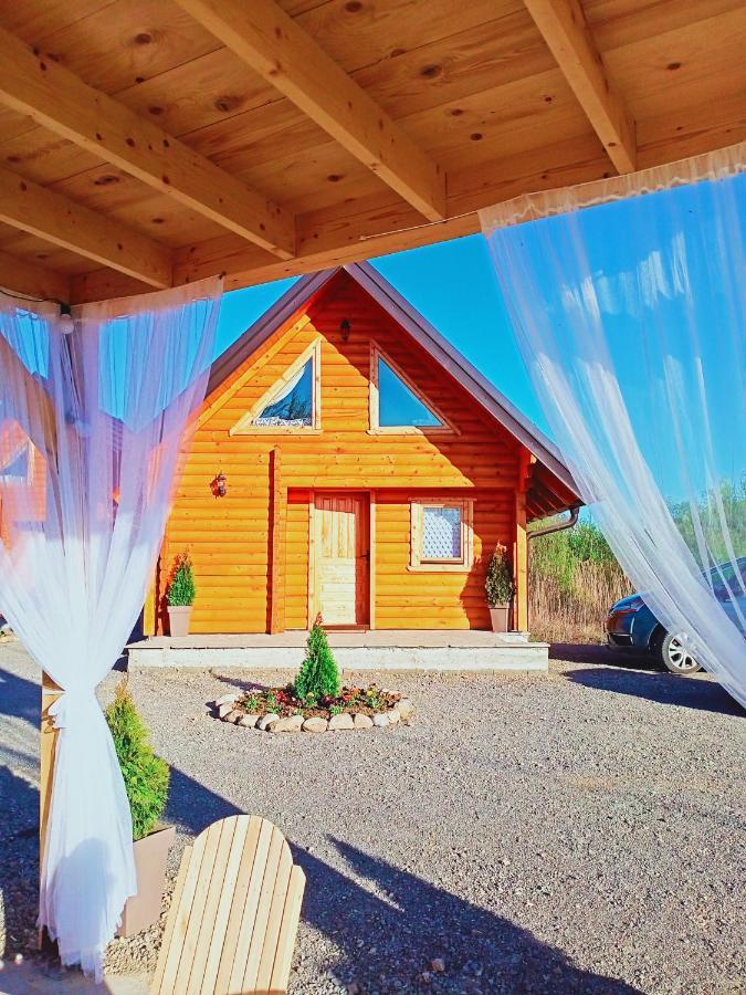 Brvnare Madera Banja Zdrelo Villa Exterior foto