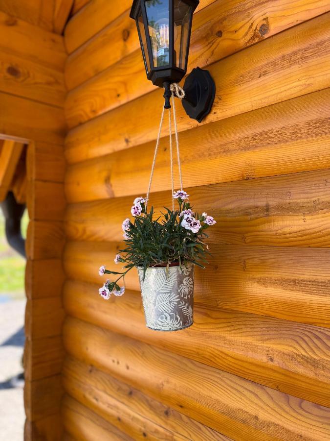 Brvnare Madera Banja Zdrelo Villa Exterior foto